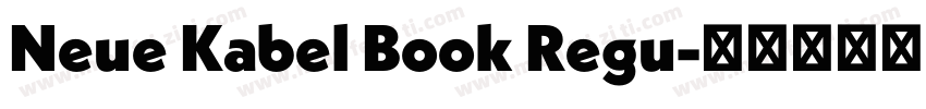 Neue Kabel Book Regu字体转换